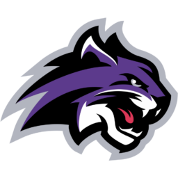 Wiley Wildcats